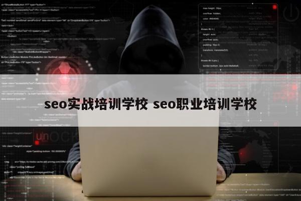 seo实战培训学校 seo职业培训学校