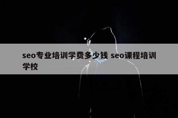 seo专业培训学费多少钱 seo课程培训学校