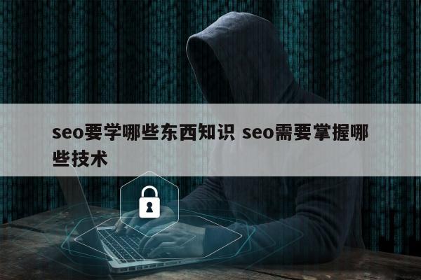 seo要学哪些东西知识 seo需要掌握哪些技术