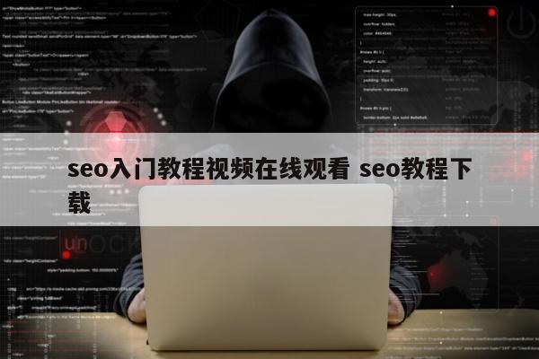 seo入门教程视频在线观看 seo教程下载