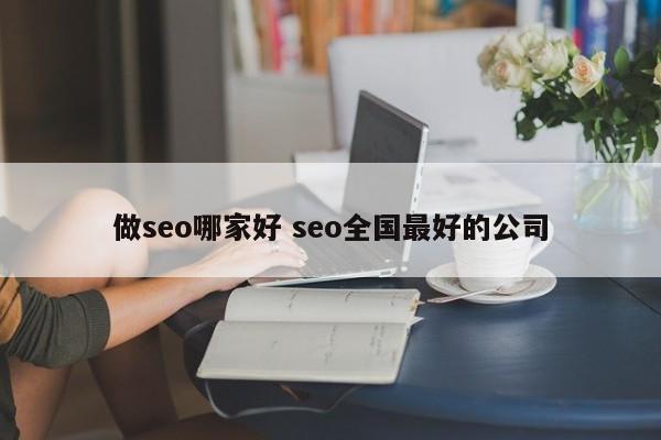 做seo哪家好 seo全国最好的公司