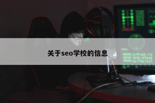 关于seo学校的信息