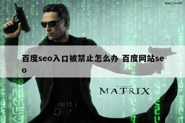 百度seo入口被禁止怎么办 百度网站seo