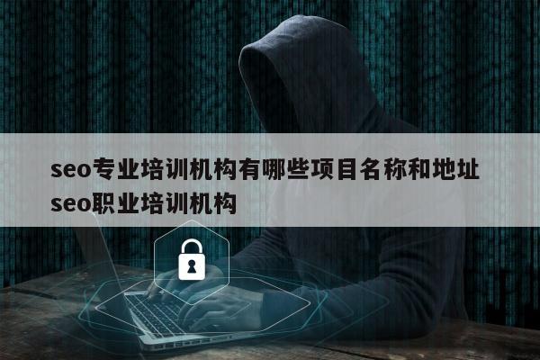 seo专业培训机构有哪些项目名称和地址 seo职业培训机构