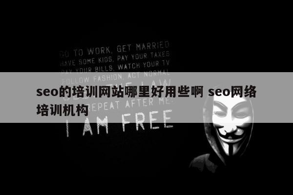seo的培训网站哪里好用些啊 seo网络培训机构
