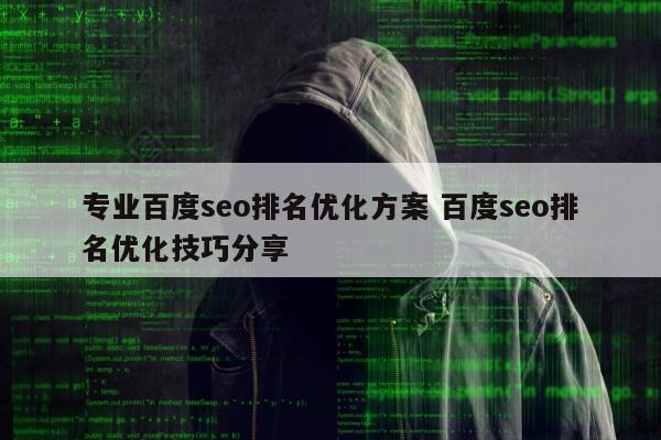 专业百度seo排名优化方案 百度seo排名优化技巧分享