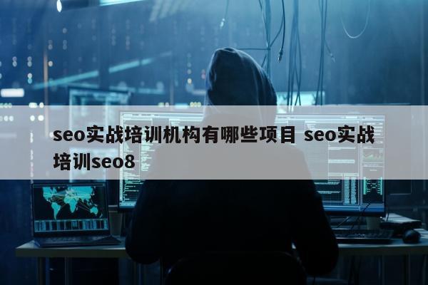 seo实战培训机构有哪些项目 seo实战培训seo8
