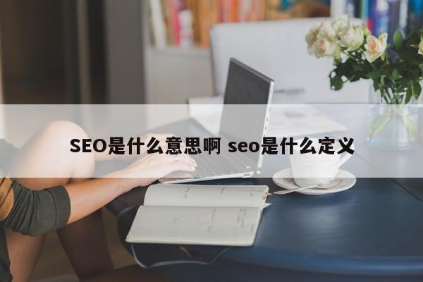 SEO是什么意思啊 seo是什么定义