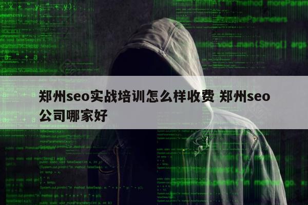 郑州seo实战培训怎么样收费 郑州seo公司哪家好
