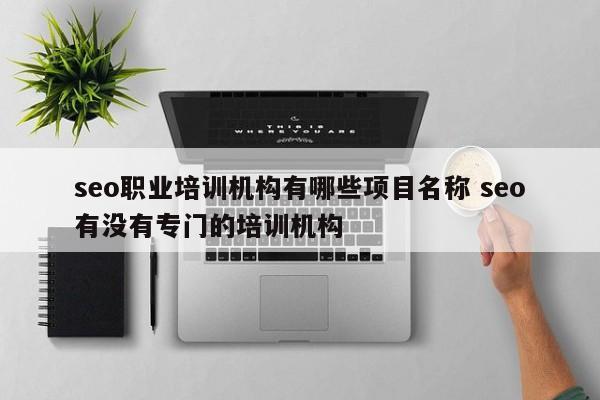 seo职业培训机构有哪些项目名称 seo有没有专门的培训机构