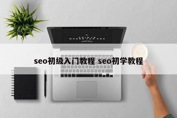 seo初级入门教程 seo初学教程